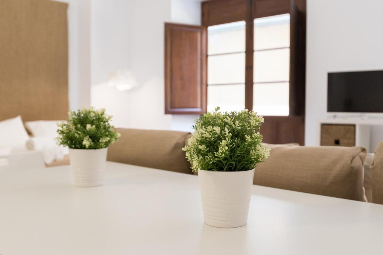 马拉加Santiago Premium Loft I公寓 外观 照片